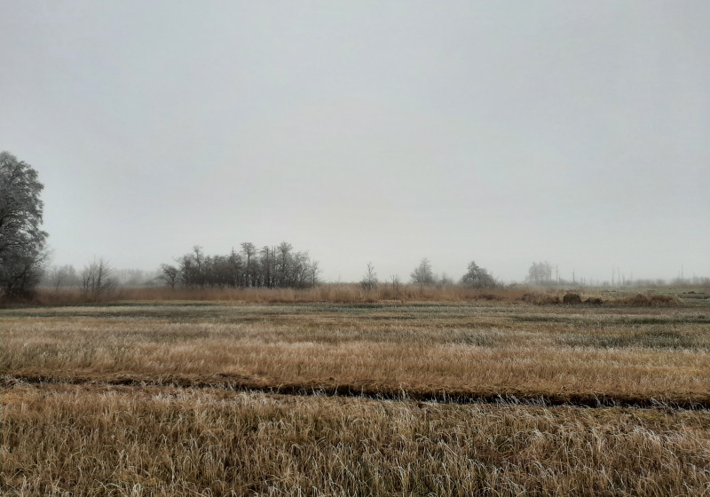 Wieden