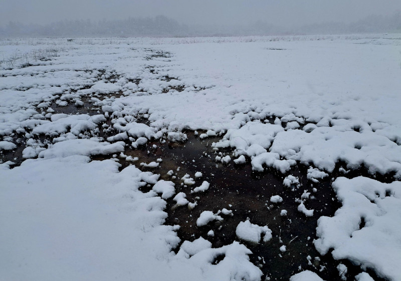 Kwelplekken sneeuw