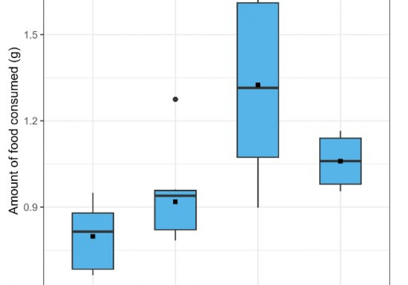 Stoichiometric mismatches