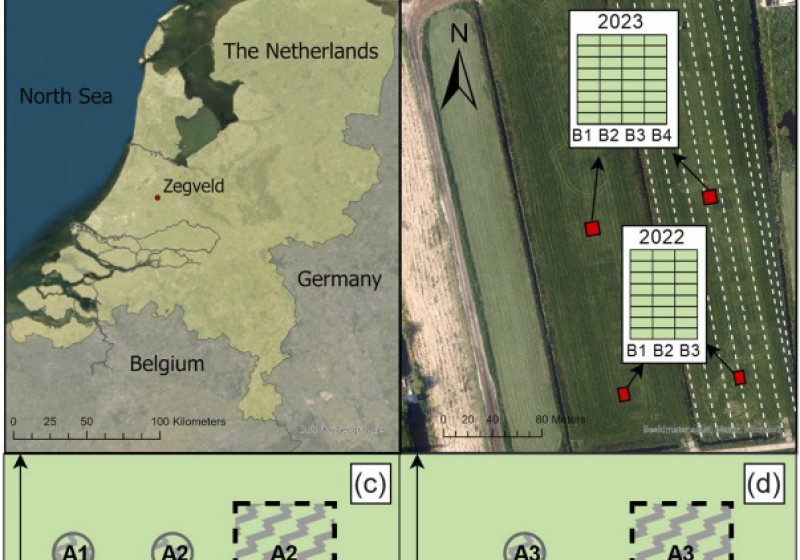 Zegveld