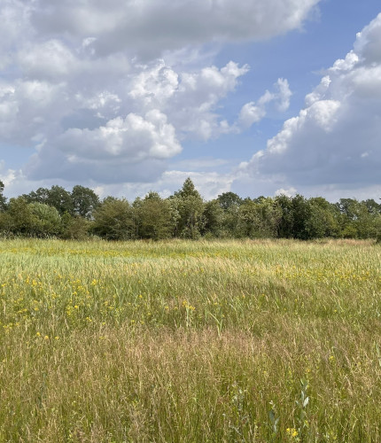 Kleine turfgat