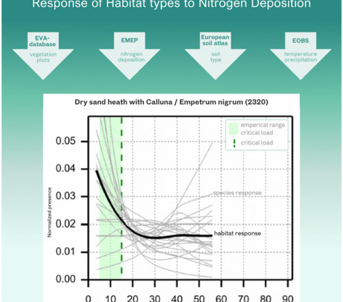 Model response nitrogen