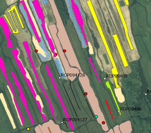 Maatregelen laagvenen