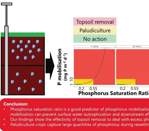 Phosphorus mobilization